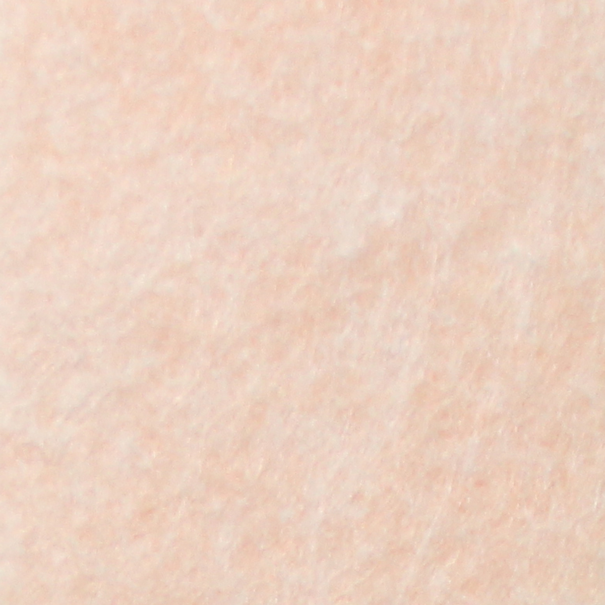 2610
