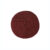 ALGLOTON-4-COL-004