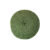 ALGLOTON-4-COL-414