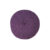 ALGLOTON-4-COL-503
